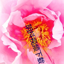 阴抖视频下载(載)