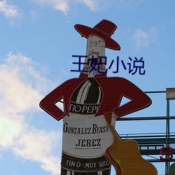 王妃(妃)小说
