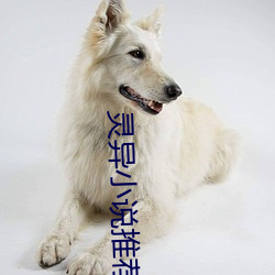 灵异小说推荐 （会合）
