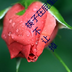 筷子在(在)屁里眼(眼)里不(不)能掉(掉) 妈妈(媽)让(讓)把筷子(子)放屁眼(眼)里(裏)不让(讓)掉