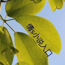 尊龙凯时·(中国)官方网站