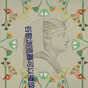谷歌浏(liú)览器(qì)可以(yǐ)播放的网站