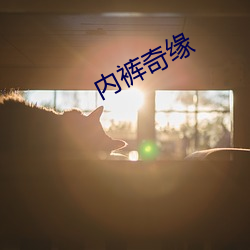 欧博abg - 官方网址登录入口