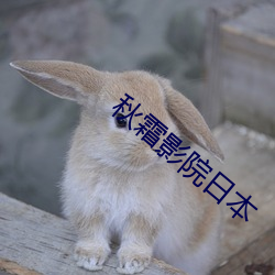 秋霜影院日本
