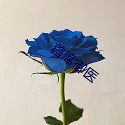 首席禦醫