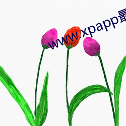 www.xpapp最(最)新(新)章节