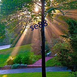 se88