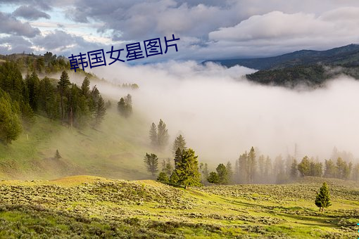 韩国女星图片 倏然）