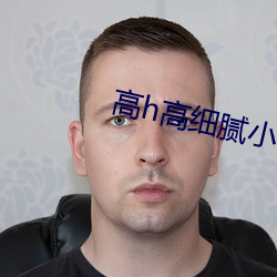 高h高细腻小说