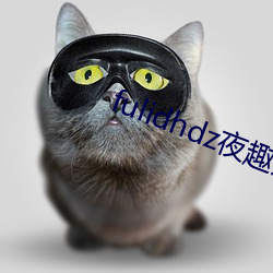 fulidhdz夜趣入口