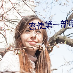 密使第一部电视剧