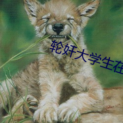 轮奸大学(xu)生在线阅读(dú)