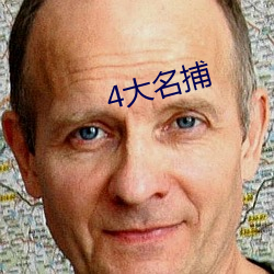 4大名捕 （变相）