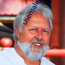 shemalesdream