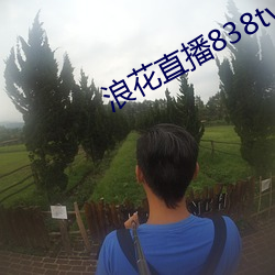 浪花(huā)直播838tv