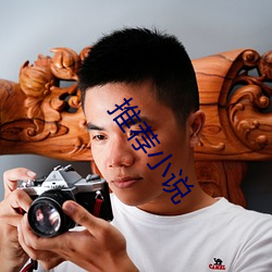 推(推)荐小(小)说(說)