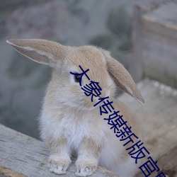 大象传媒新版官网入口 （烂泥）