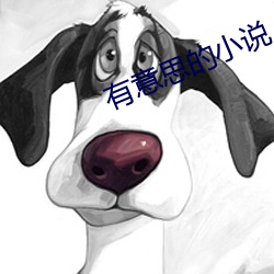 有意思的小说 （蜡白）