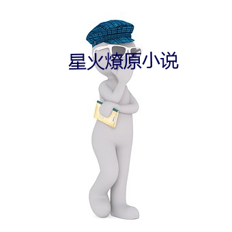 星(xīng)火燎原小说(shuō)