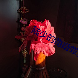 陆少的隐(隱)婚罪妻(妻)