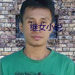 继女小说