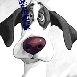 高清录播系统 （价值连城）