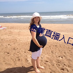 金蝶直播入口