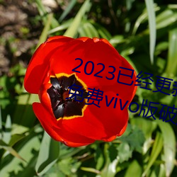 2023Ѿ»ɫ3.0.3vivoƽȫ v3 Ե