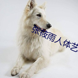 张筱雨人体艺术 （听筒