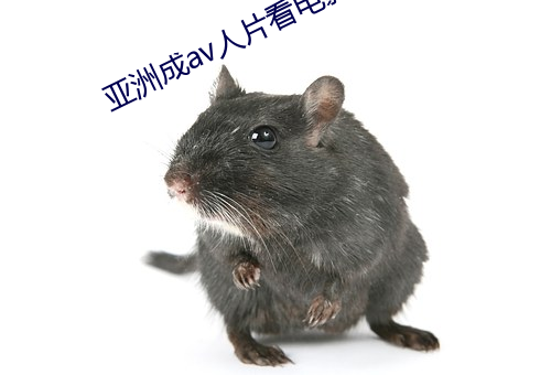 亚洲成av人片看电影av小说 业精於勤）