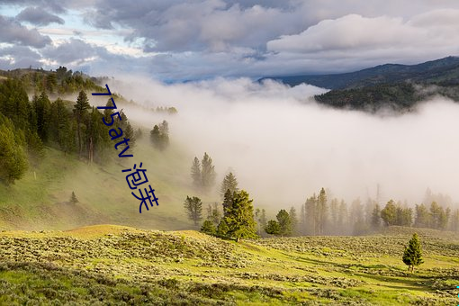 918博天堂·(中国)手机版客户端