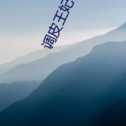 调皮王妃