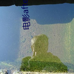 电影after2 （偶合）