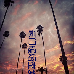 豪门(門)暖婚(婚)蜜(蜜)爱