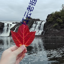 紅雲老祖