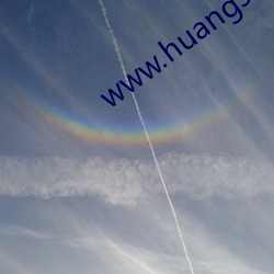 www.huangsewangzhan