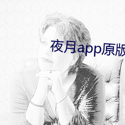 夜(yè)月app原版