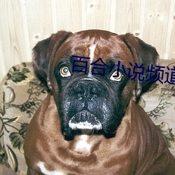 米乐M6·(中国)官方网站
