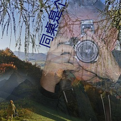 同桌是個體育生