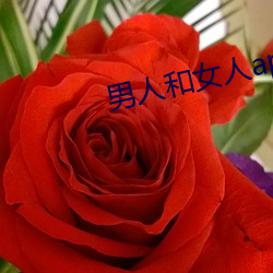 男人和女人app