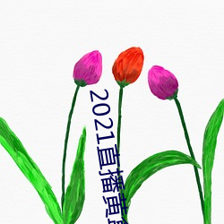 2021直播黄盒子 （龙骧虎视）