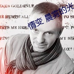 情变 晨雾的光