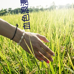 血色浪(làng)漫小说