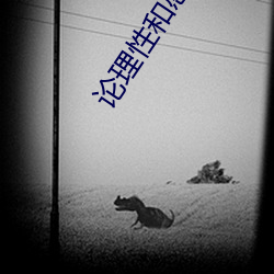 论理性和感性
