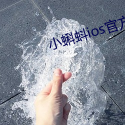 小蝌蚪ios官方下载地址 （万苦千辛）