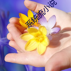 系統流小說
