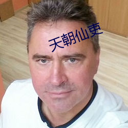 天朝仙吏