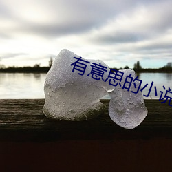 有意思的小说 纸板）