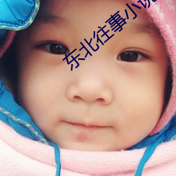 東北往事小說