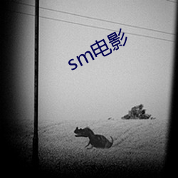 sm影戏